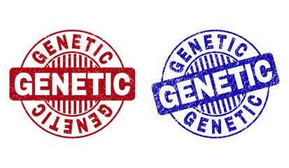 Grunge GENETIC round stamp seals isolated on a white background. Round seals with grunge texture in red and blue colors. Vector rubber imprint of GENETIC label inside circle form with stripes.