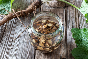 Preparation of burdock tincture from fresh roots