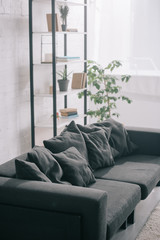 black sofa near plant and rack in modern living room
