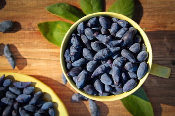 the berries of honeysuckle in the yellow Cup