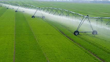 Center Pivot Irrigation System in a green Field