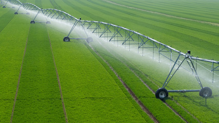Center Pivot Irrigation System in a green Field