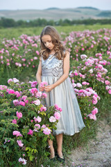 Fototapeta na wymiar Beautiful girl in grey dress collect roses in Bulgaria in sunrise.