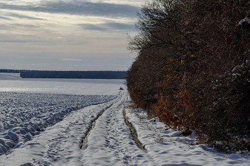 Winter landscape with  dirt road between open field and deciduous forest near Zavet, Bulgaria, Europe  