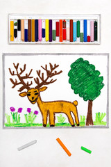 Colorful drawing: cute brown deer with big deer horns