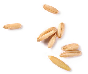 Macro pile oats grain peel isolated on white background, top view