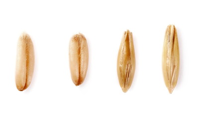 Macro set oats grain peel isolated on white background, top view