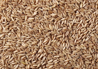 Pile oats grain peel background and texture, top view