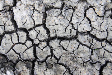 Close-up of cracked mud after a long hot summer