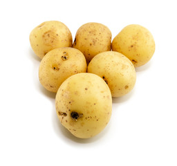 A group of potatoes, big and small isolated on white background