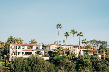 Fototapeta na wymiar Houses and palm trees in San Clemente, California