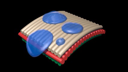  Water drops collide with waterproof surface , nanomaterials . 3d rendering