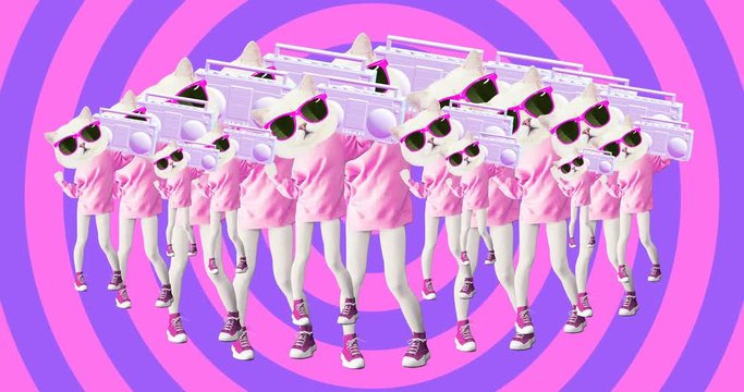Minimal animation design. Pretty white Kitty. Dancing lover vibes. Pop and party mood