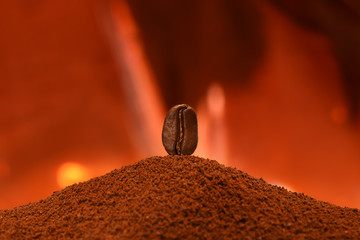 Fresh roasted coffee bean stands on a handful of ground coffee on a red flaming background. Post card, banner.