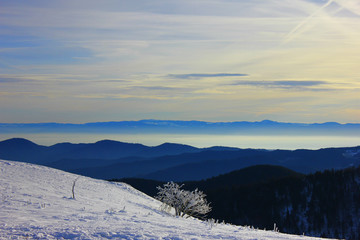 lever de soleil sur les montagnes enneigées des Vosges depuis le sommet du hohneck