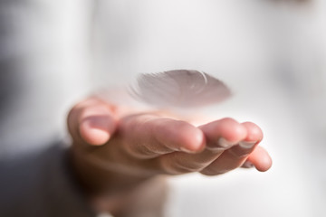 La pluma de tu ala