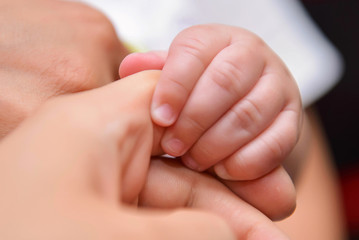 Little hand of a newborn holds mom's finger