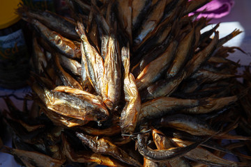 fish in market