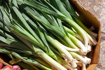 green beans and onions