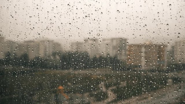 raindrops on the glass