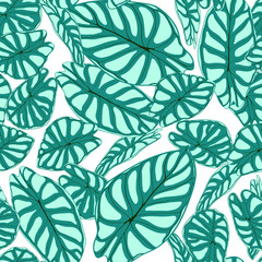 Seamless Tropical Pattern. Trendy Background with Rain Forest Plants. Vector Leaf of Alocasia. Araceae. Handwritten Jungle Foliage in Watercolor Style. Seamless Exotic Pattern for Textile, Fabric.