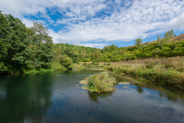 summer landscape with river