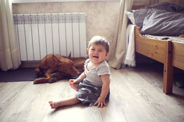 baby's afraid of dog, girl child sitting and cry