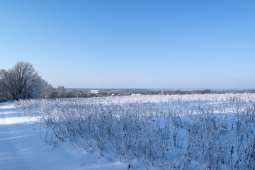 Beautiful russian winter frosty day  in the countryside  under blue sky with snowy fields and icy trees.