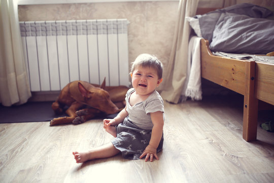 baby's afraid of dog, girl child sitting and cry