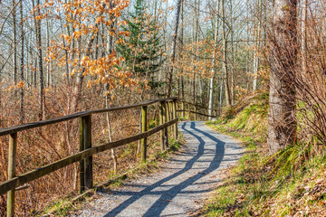 View at Trail in Park in Vancouver, Canada.