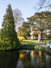 Obraz premium OLYMPUS DIGITAL CAMERA - PARKLAND