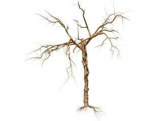 Dead Tree isolated over a white background 