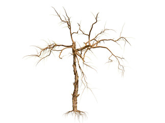 Dead Tree isolated over a white background 