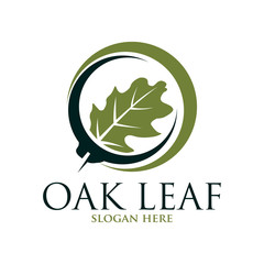 Oak leaf vector logo isolated. Logo templates.