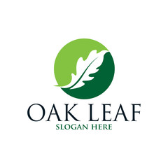 Oak leaf vector logo isolated. Logo templates.