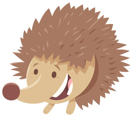 cute hedgehog cartoon animal character