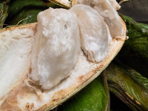Exotic tropical fruit called guama (Inga Edulis)