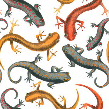 Lizard reptile seamless pattern illustration on white. Red,yellow and black lizard pattern. Fashion abstract animal pattern.