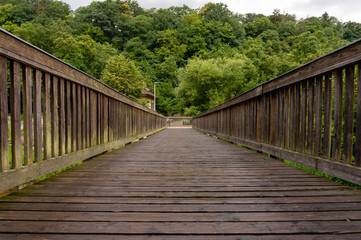Fototapeta premium Bridge towards forrest