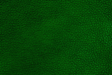 Dark green leather texture. 
