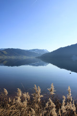 Aegerisee, Switzerland on a clear sunny day with reflections and reeds 