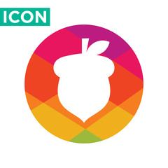 acorn icon vector © kirania