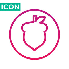 acorn icon vector