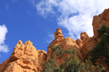 Fototapeta na wymiar Red Canyon Utah USA