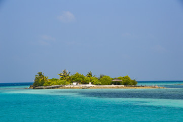 Beautiful tropical Maldives island with beach , sea , and coconut palm tree on blue sky for nature holiday vacation background concept -Boost up color Processing