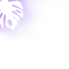 White  leafof palm on violet background. Minimalistic summer botanical background.