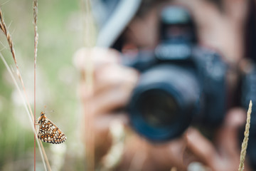 Close up of Nickerl's fritillary butterfly in the grass in nature with a photographer in background