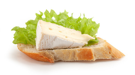 Piece of camembert on the bread