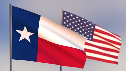 Texas 3D flag waving in wind.