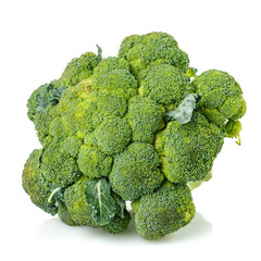 Fresh broccoli. Isolated on a white background